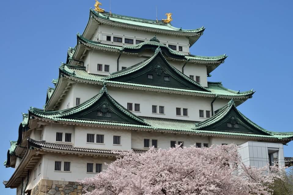 名古屋城の桜満開名所