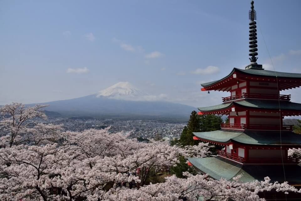 新倉山浅間公園・忠霊塔、富士山と桜の写真