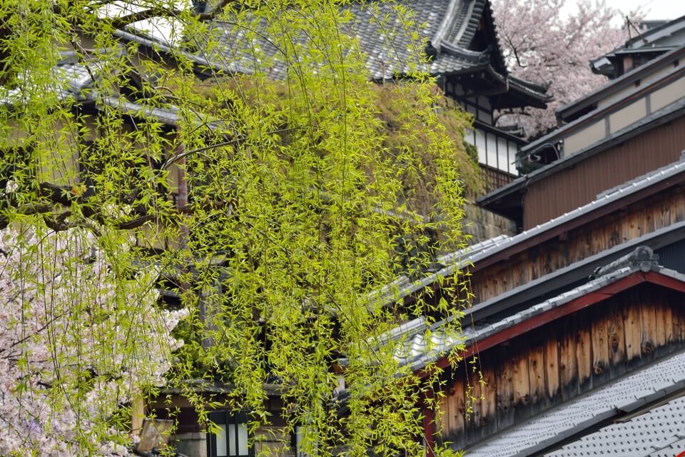 三年坂（産寧坂）・二年坂は京都の一眼レフ写真撮影スポット