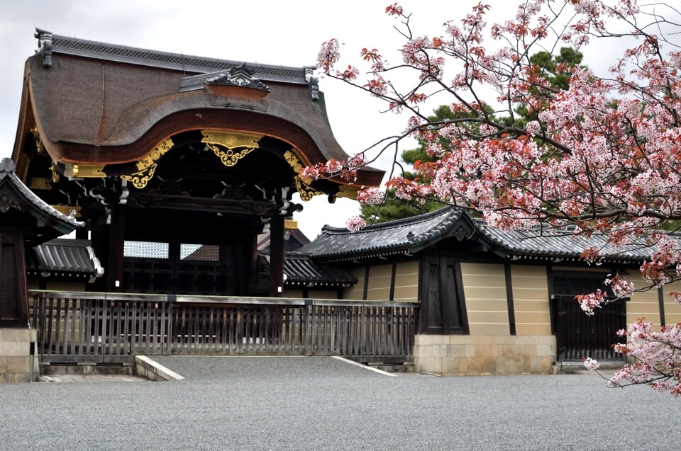 京都御所・建礼門の桜写真