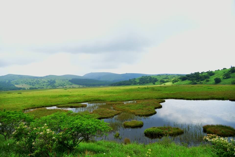 八島ヶ原湿原の写真