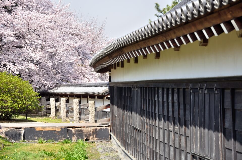 大和郡山城の桜写真