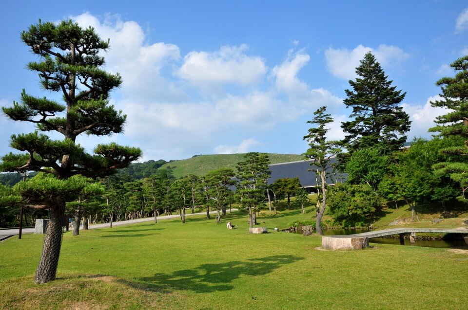 奈良公園の鹿写真