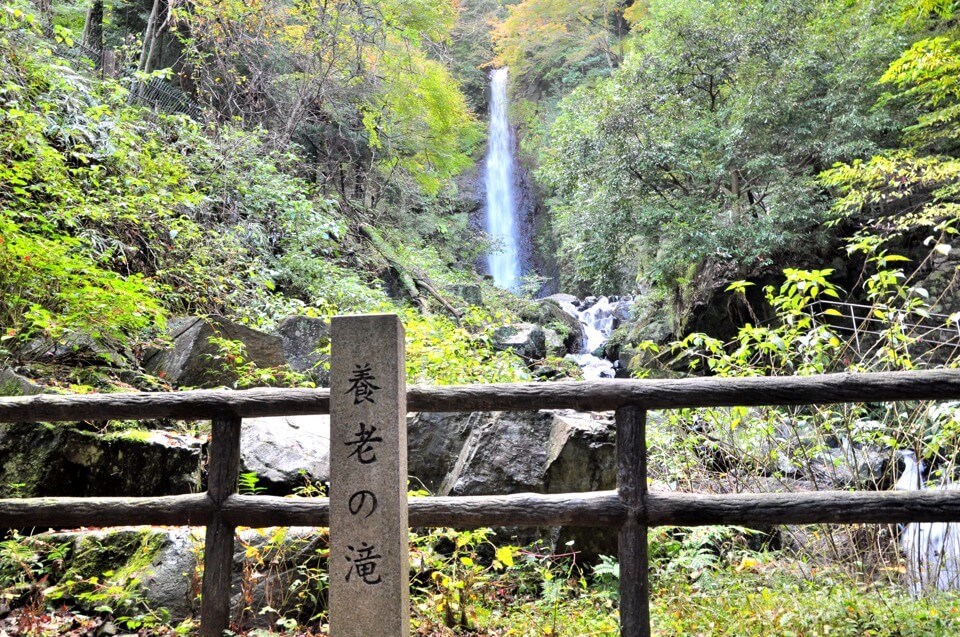 養老の滝・菊水泉の写真
