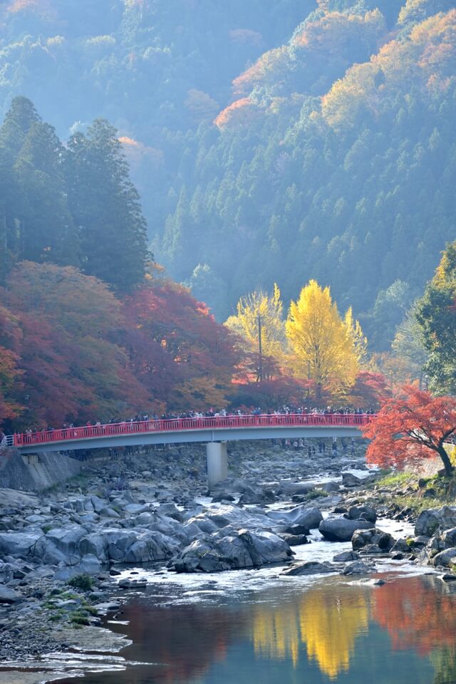 香嵐渓の紅葉写真