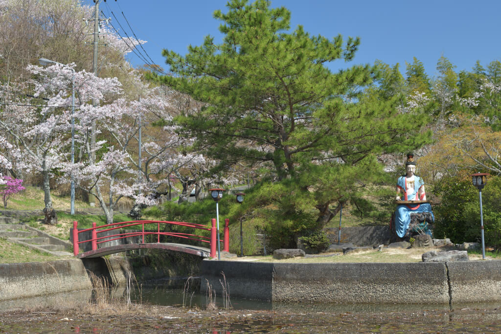 五色園の桜写真