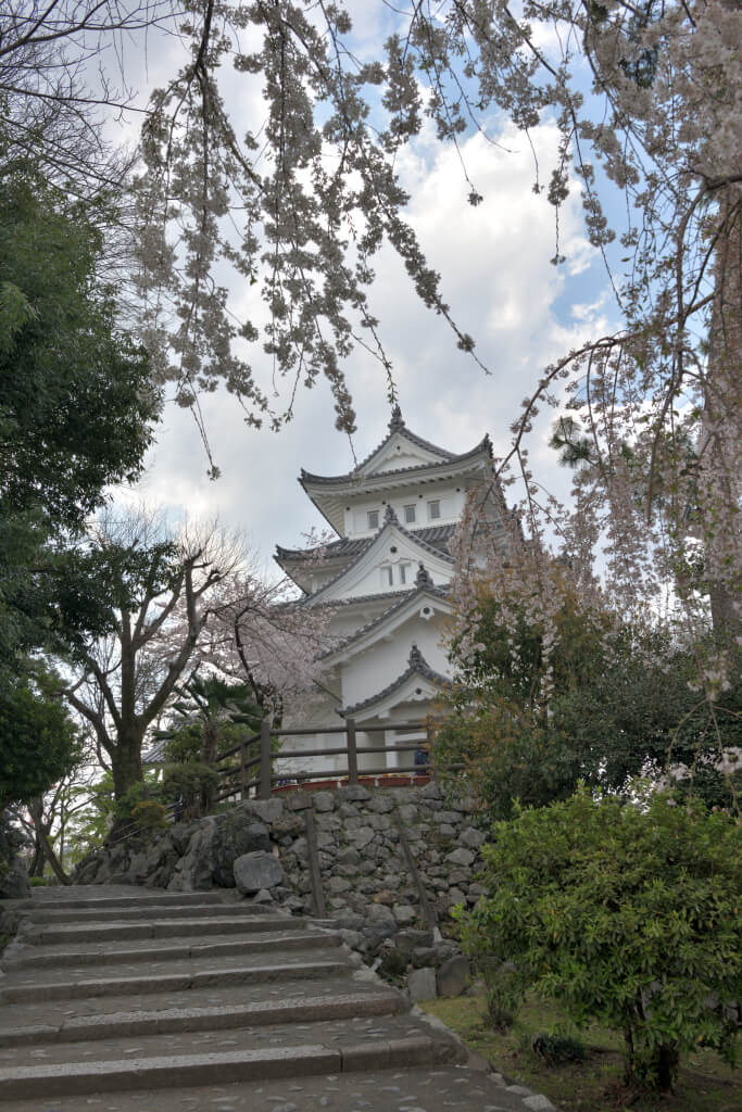 大垣城の桜写真