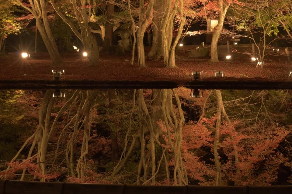 曽木公園の紅葉ライトアップ夜景写真