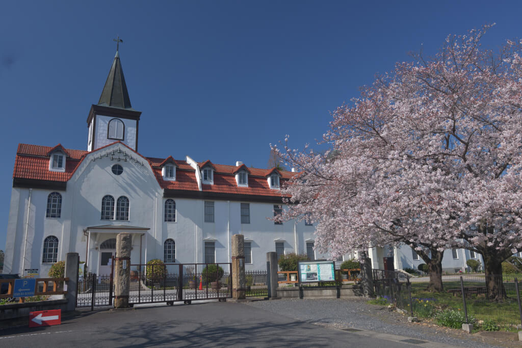 多治見修道院の桜写真