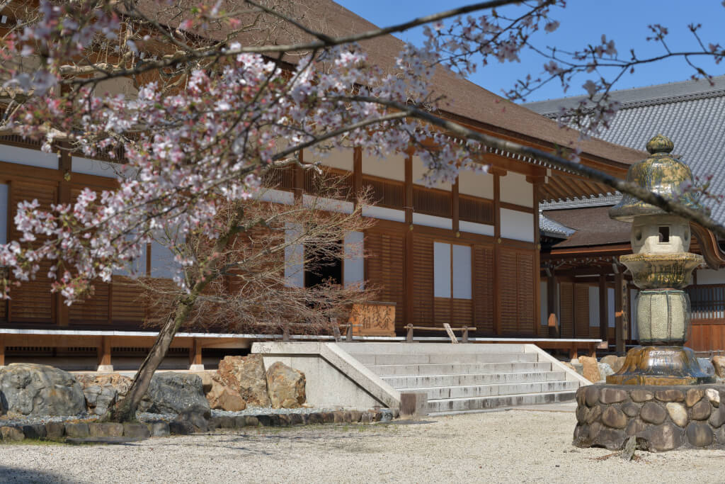 虎渓山永保寺の桜写真