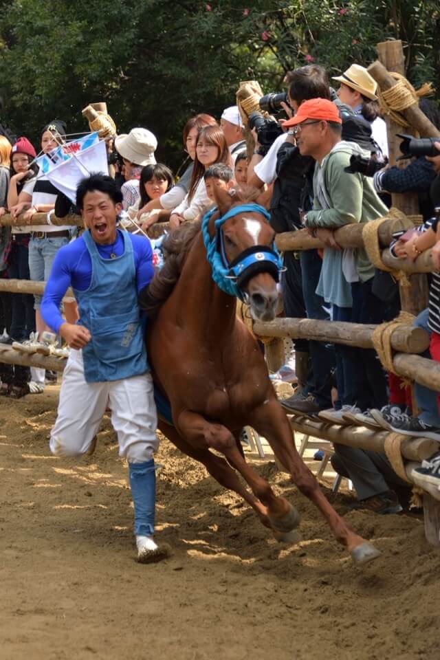 高浜おまんと馬祭り写真