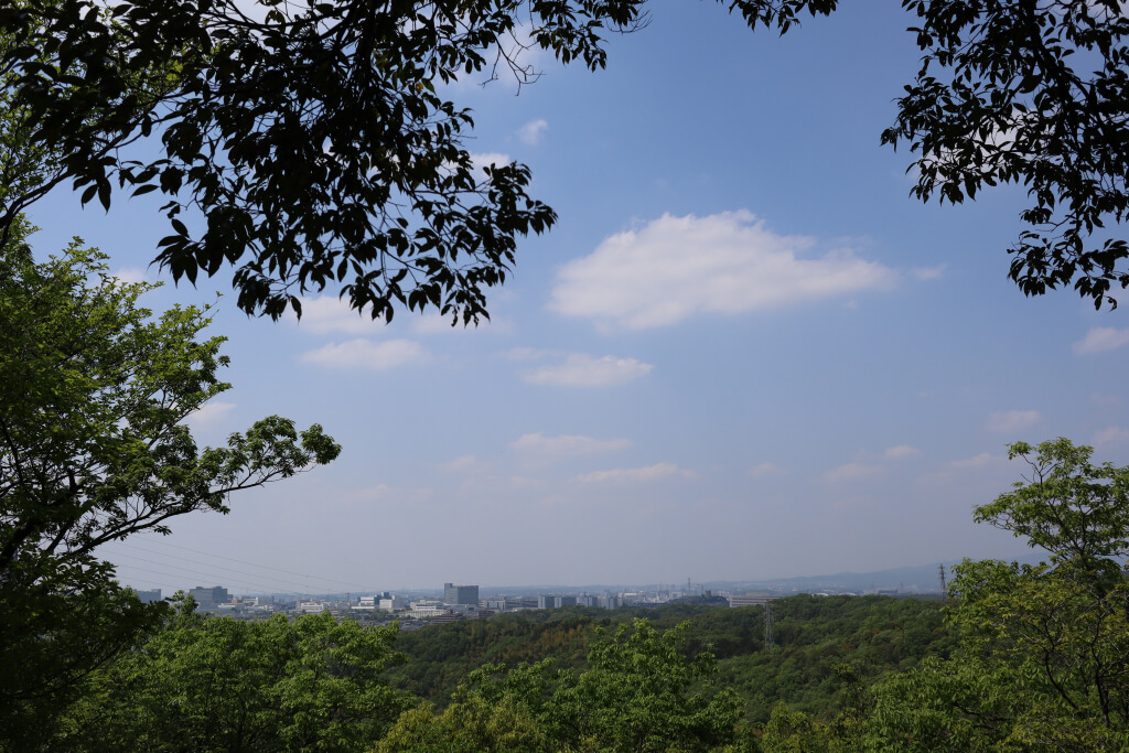 フォレスタヒルズ・トヨタの森ランニング写真