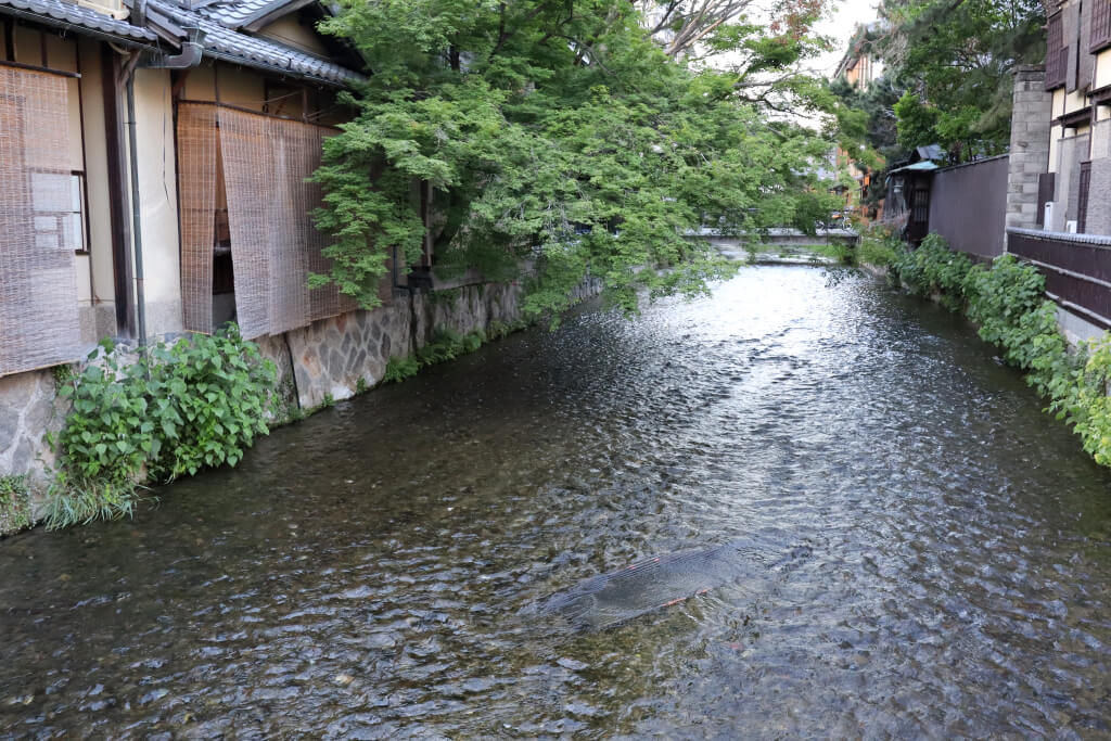 祇園白川の写真