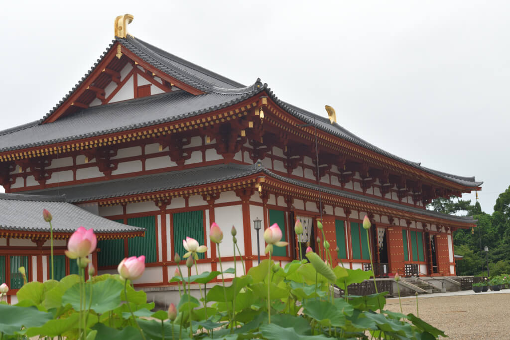 薬師寺の写真