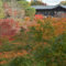 東福寺の紅葉写真