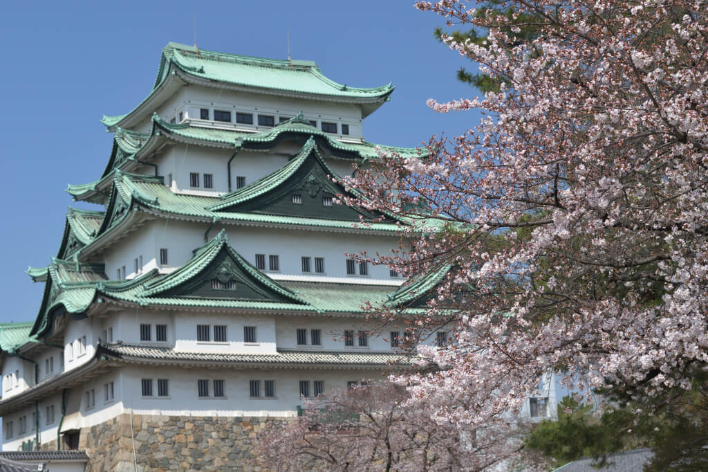 名古屋城の桜写真