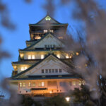 大阪城の夜桜写真