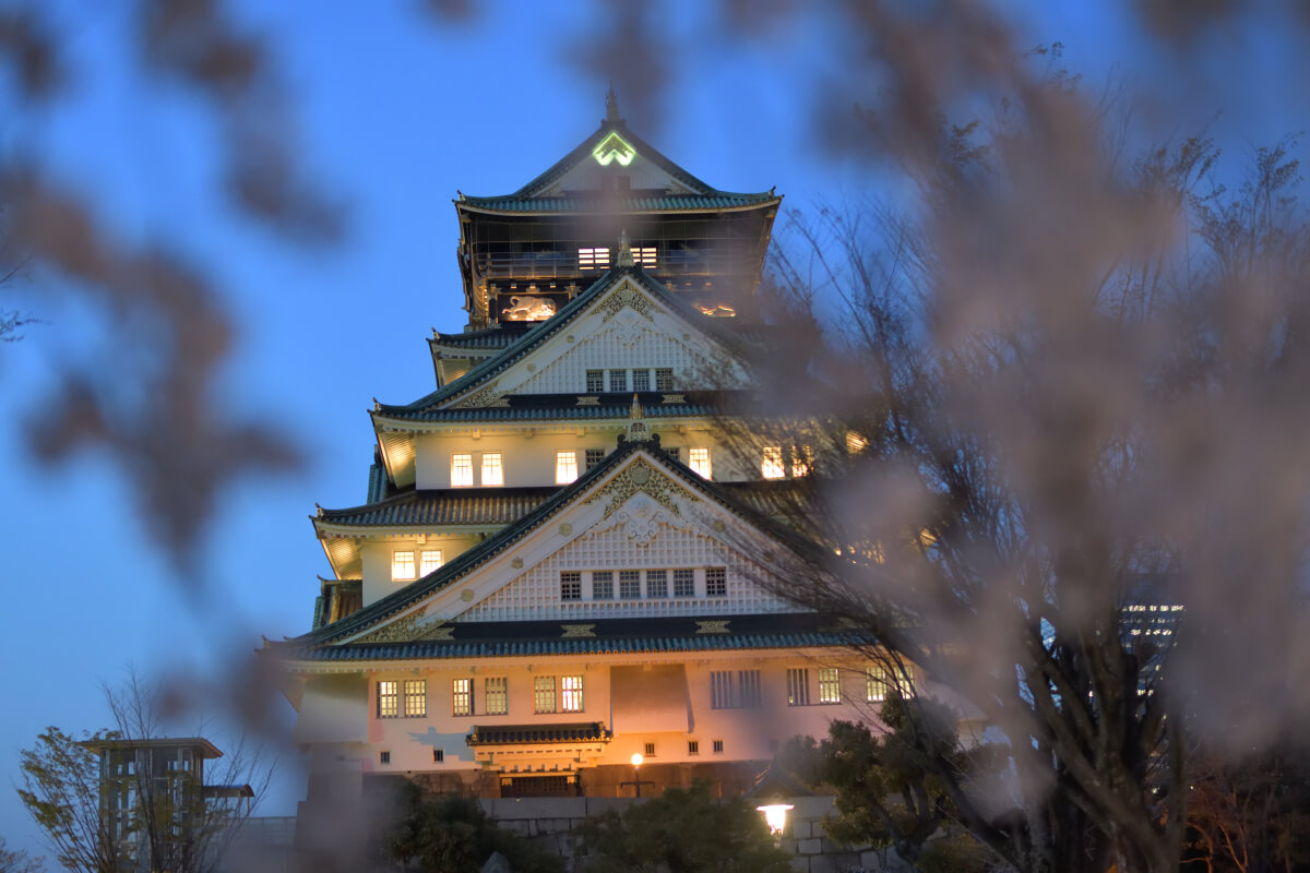 大阪城の夜桜写真