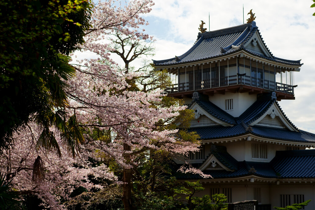 岩崎城の桜写真