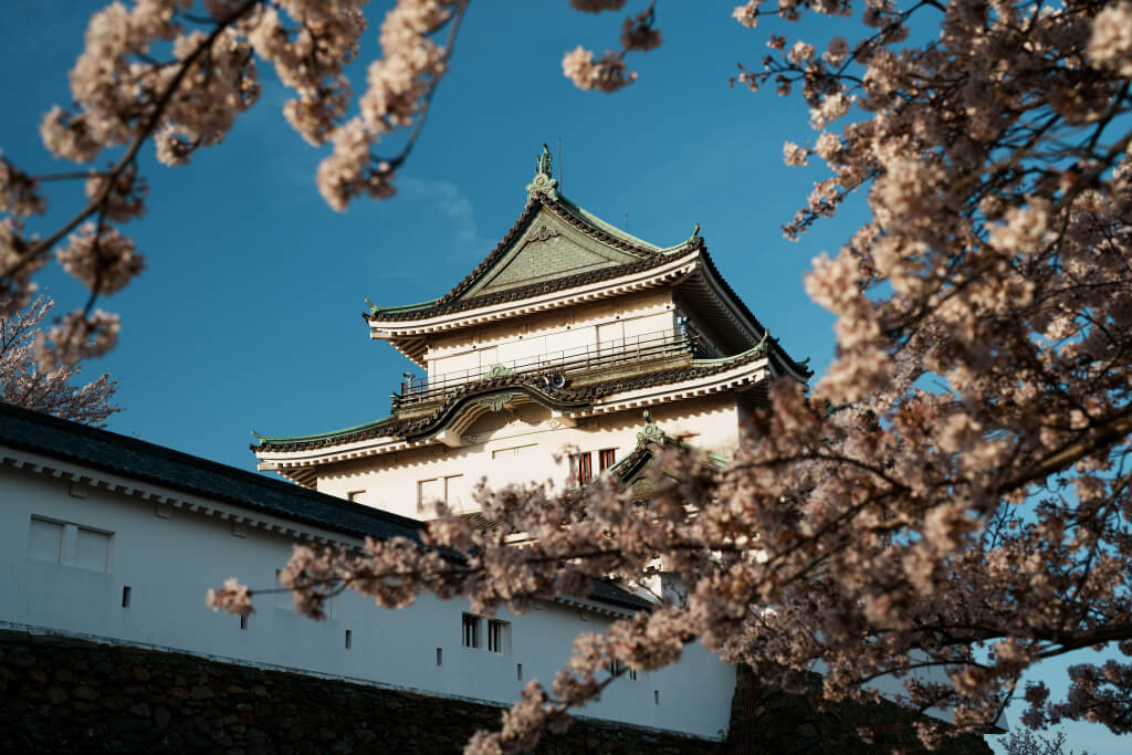 和歌山城桜写真