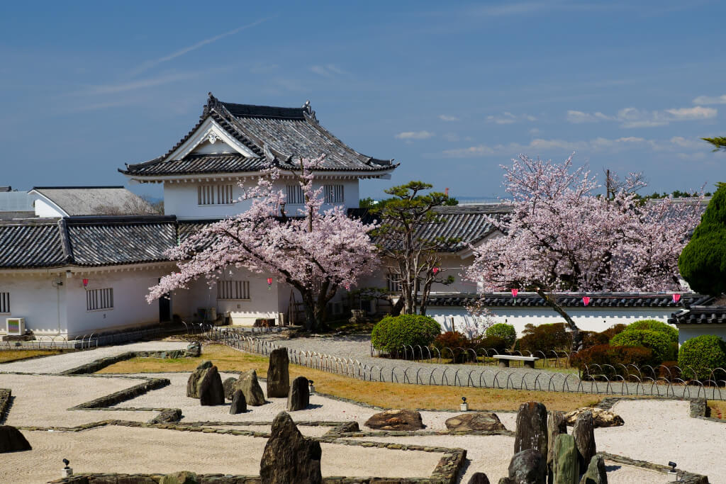 岸和田城の桜写真