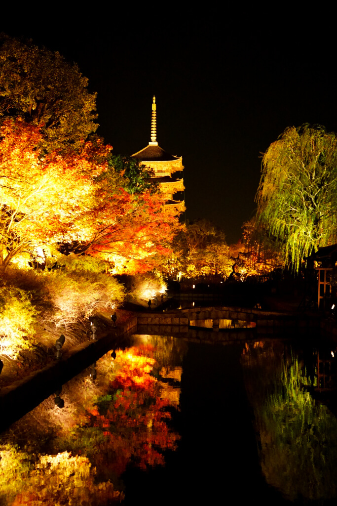東寺五重塔の紅葉夜景写真