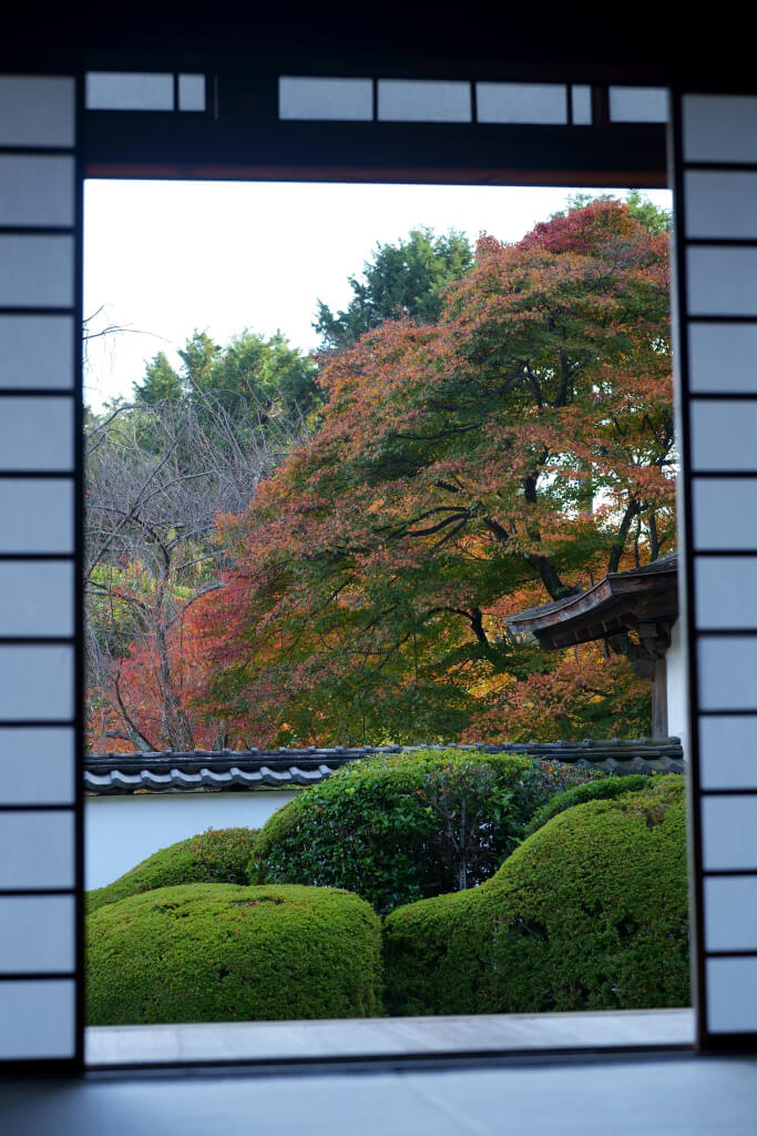 正伝寺の紅葉写真
